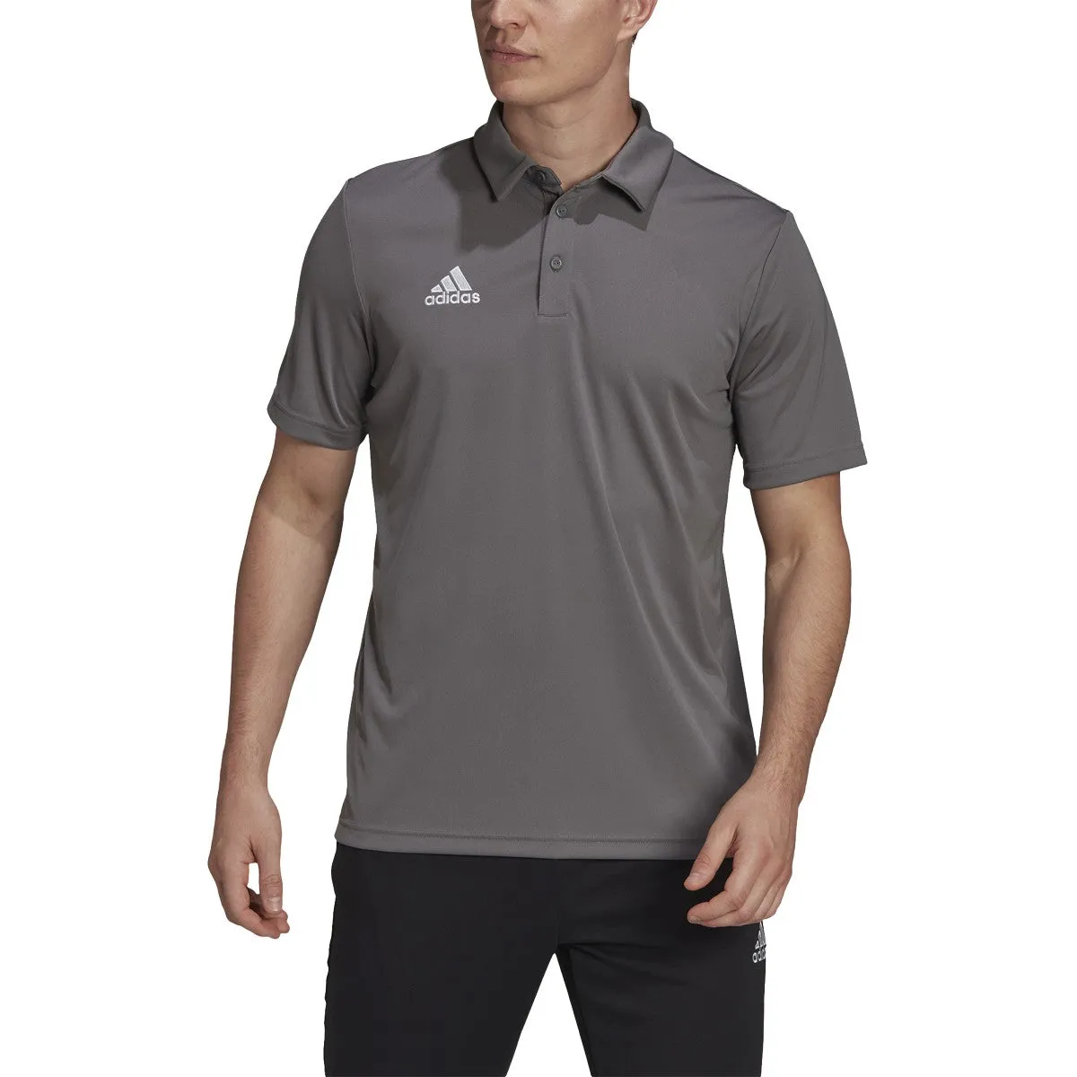 adidas Men's Entrada 22 Soccer Polo